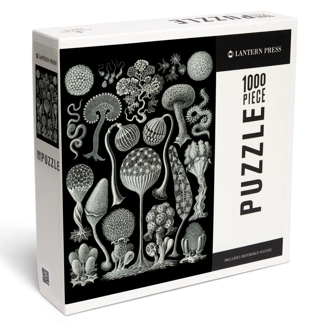 Art Forms of Nature, Mycetozoa (Slime Mold), Ernst Haeckel Artwork, Jigsaw Puzzle Puzzle Lantern Press 