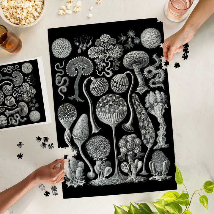 Art Forms of Nature, Mycetozoa (Slime Mold), Ernst Haeckel Artwork, Jigsaw Puzzle Puzzle Lantern Press 