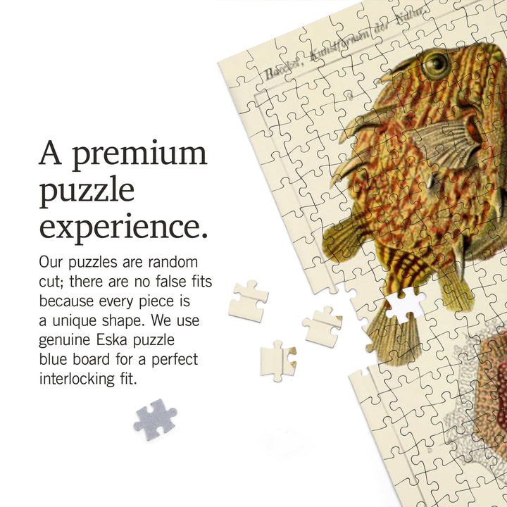 Art Forms of Nature, Ostraciontes (Boxfish), Ernst Haeckel Artwork, Jigsaw Puzzle Puzzle Lantern Press 
