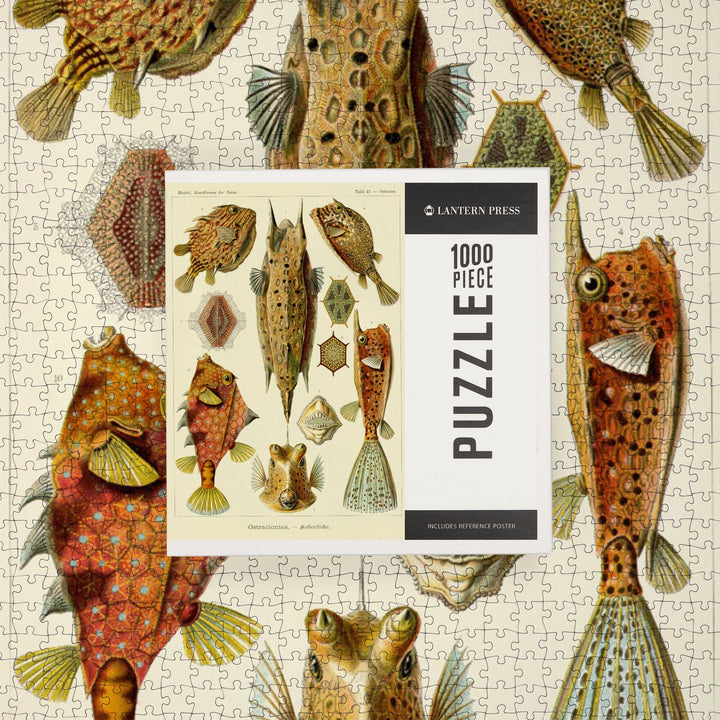 Art Forms of Nature, Ostraciontes (Boxfish), Ernst Haeckel Artwork, Jigsaw Puzzle Puzzle Lantern Press 