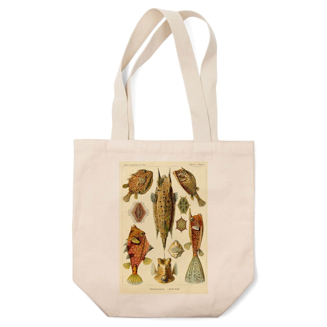 Art Forms of Nature, Ostraciontes (Boxfish), Ernst Haeckel Artwork, Tote Bag Totes Lantern Press 