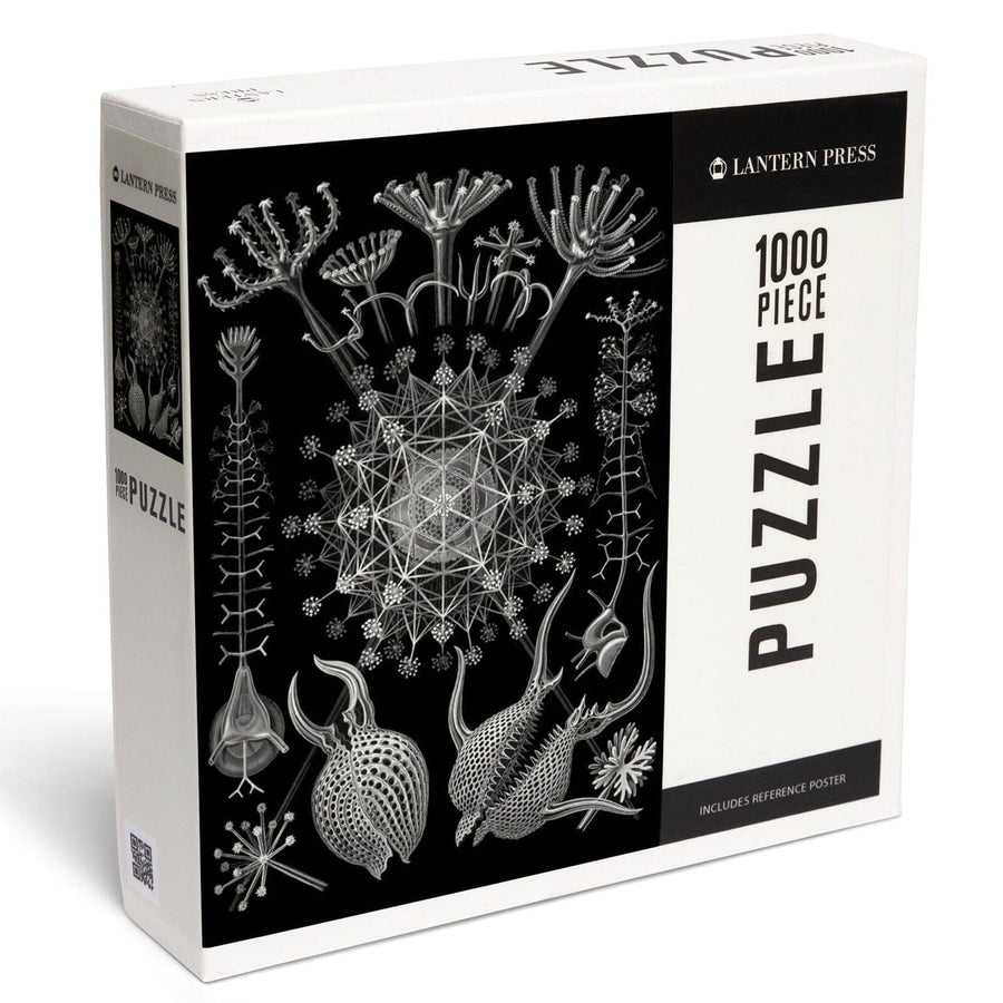 Art Forms of Nature, Phaeodaria, Ernst Haeckel Artwork, Jigsaw Puzzle Puzzle Lantern Press 