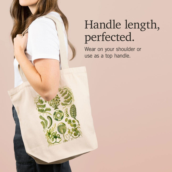 Art Forms of Nature, Siphoneae (Algae), Ernst Haeckel Artwork, Tote Bag Totes Lantern Press 