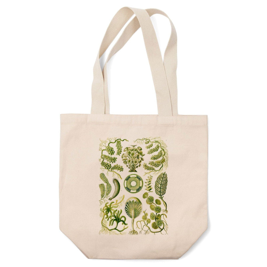 Art Forms of Nature, Siphoneae (Algae), Ernst Haeckel Artwork, Tote Bag Totes Lantern Press 