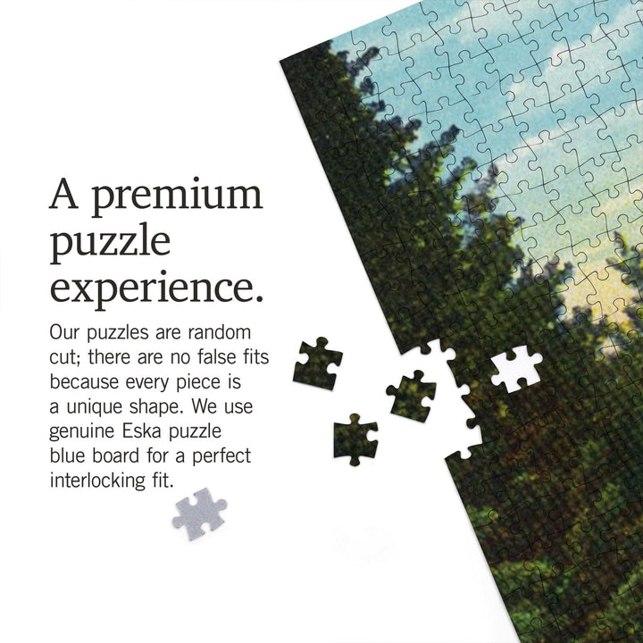 Asheville, North Carolina, I'd Hike That, Jigsaw Puzzle Puzzle Lantern Press 