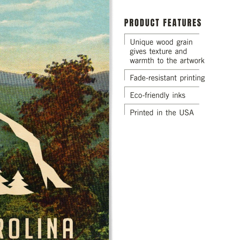 Asheville, North Carolina, I'd Hike That, Mountains, Sentiment, Lantern Press Artwork, Wood Signs and Postcards Wood Lantern Press 