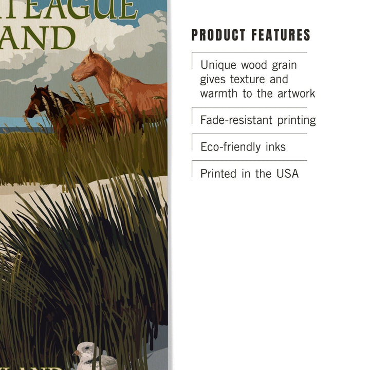 Assateague Island, Maryland, Horses & Dunes, Lantern Press Artwork, Wood Signs and Postcards Wood Lantern Press 