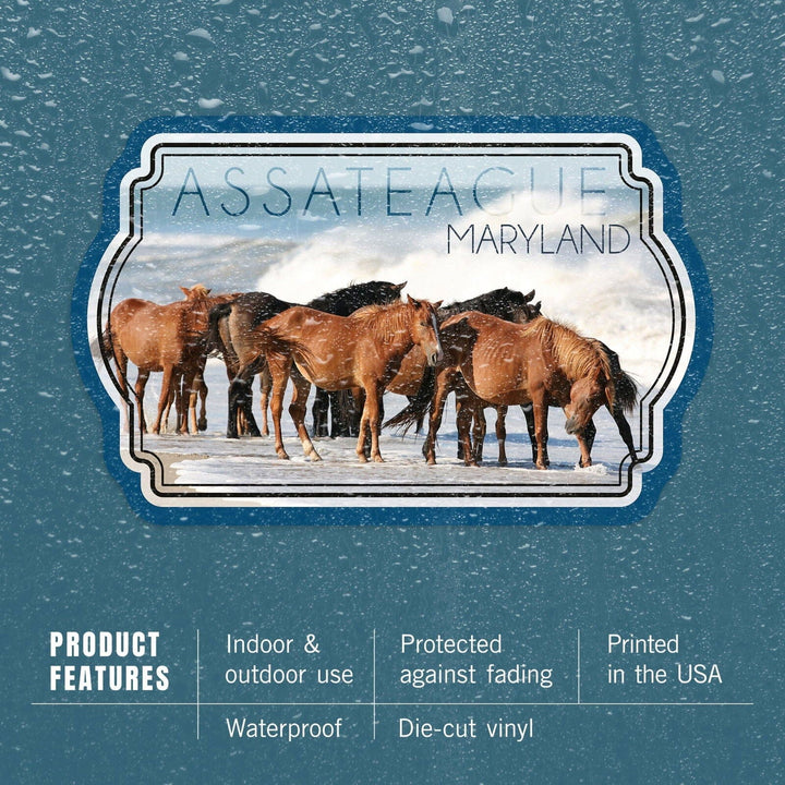 Assateague, Maryland, Horses on Beach, Contour, Lantern Press Photography, Vinyl Sticker Sticker Lantern Press 