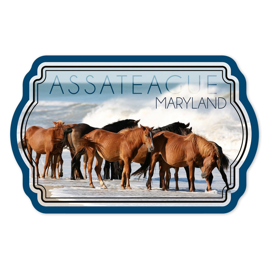 Assateague, Maryland, Horses on Beach, Contour, Lantern Press Photography, Vinyl Sticker Sticker Lantern Press 