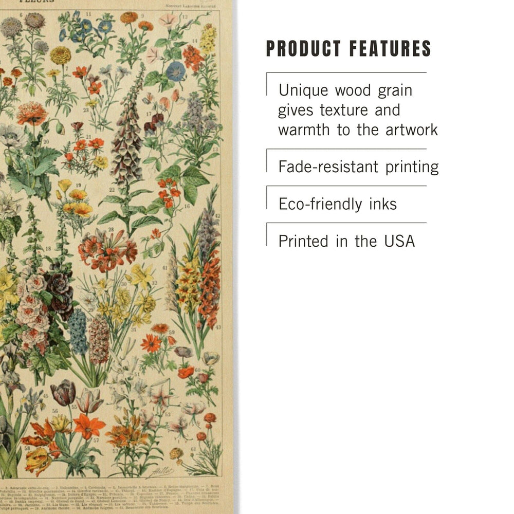 Assorted Flowers, A, Vintage Bookplate, Adolphe Millot Artwork, Wood Signs and Postcards Wood Lantern Press 