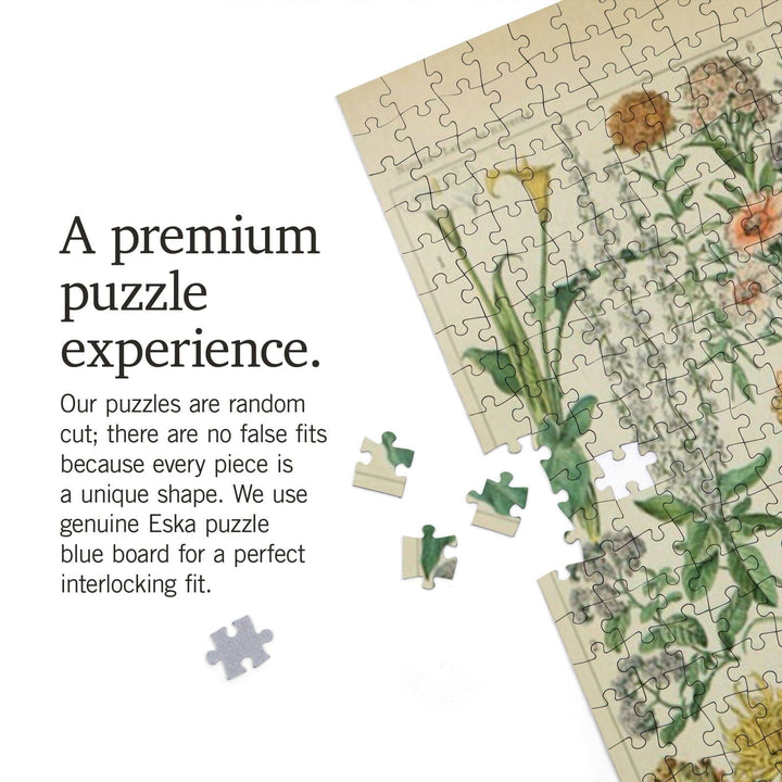 Assorted Flowers, B, Vintage Bookplate, Adolphe Millot Artwork, Jigsaw Puzzle Puzzle Lantern Press 