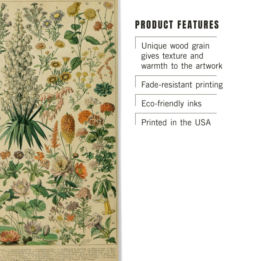 Assorted Flowers, B, Vintage Bookplate, Adolphe Millot Artwork, Wood Signs and Postcards Wood Lantern Press 