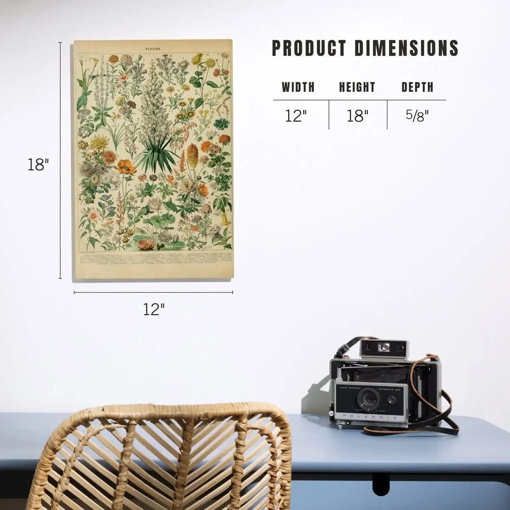 Assorted Flowers, B, Vintage Bookplate, Adolphe Millot Artwork, Wood Signs and Postcards Wood Lantern Press 