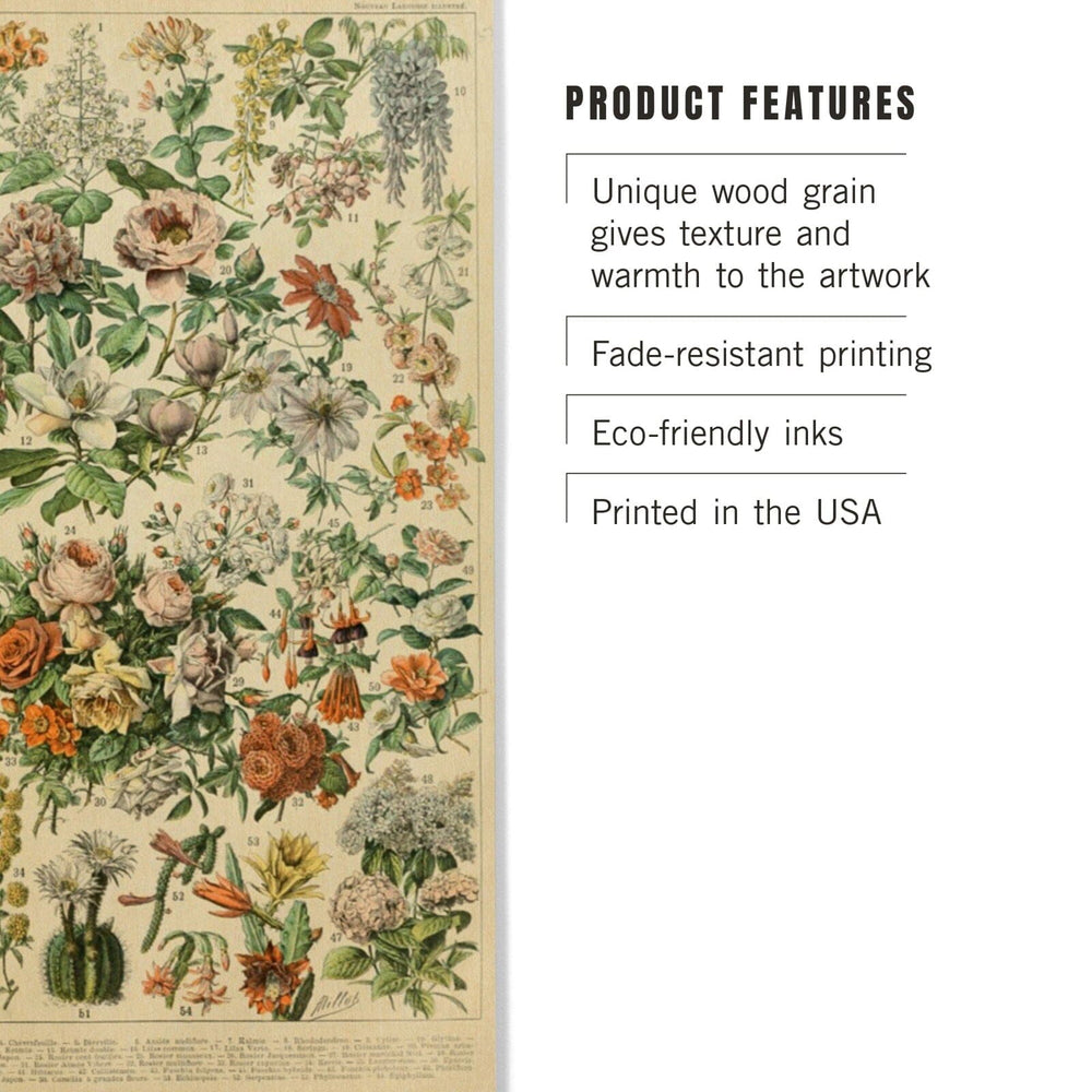 Assorted Flowers, C, Vintage Bookplate, Adolphe Millot Artwork, Wood Signs and Postcards Wood Lantern Press 