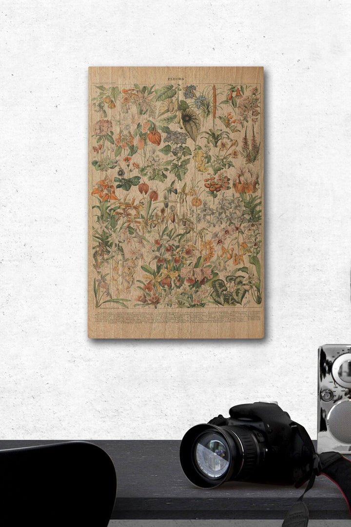 Assorted Flowers, D, Vintage Bookplate, Adolphe Millot Artwork, Wood Signs and Postcards Wood Lantern Press 12 x 18 Wood Gallery Print 