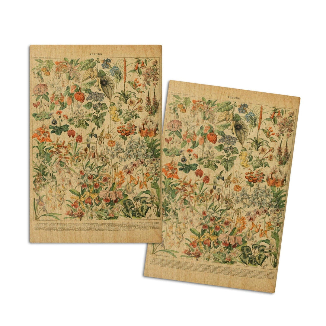 Assorted Flowers, D, Vintage Bookplate, Adolphe Millot Artwork, Wood Signs and Postcards Wood Lantern Press 4x6 Wood Postcard Set 