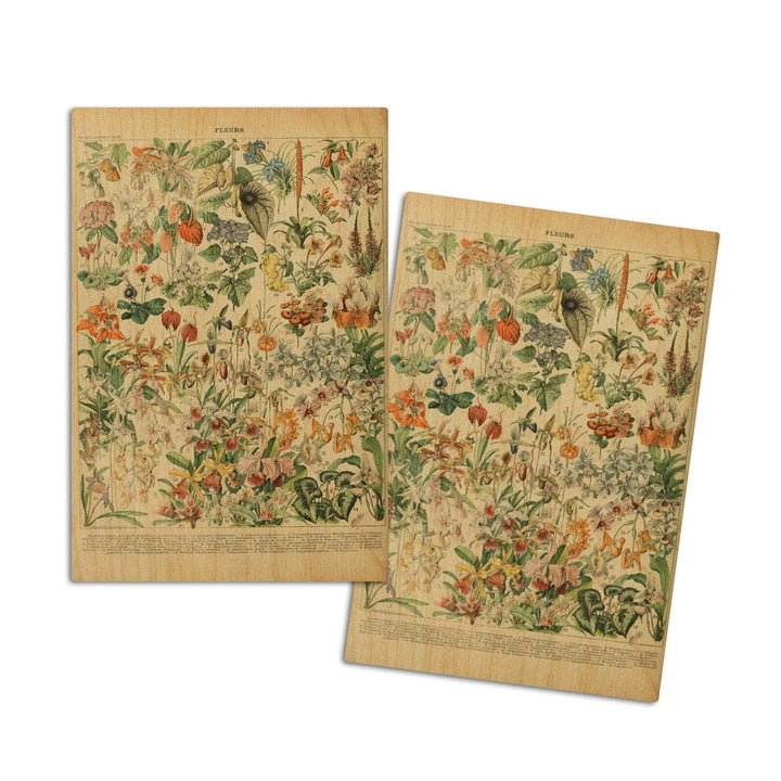 Assorted Flowers, D, Vintage Bookplate, Adolphe Millot Artwork, Wood Signs and Postcards Wood Lantern Press 4x6 Wood Postcard Set 