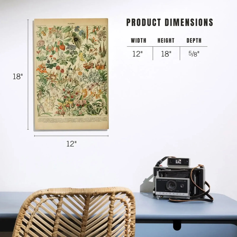 Assorted Flowers, D, Vintage Bookplate, Adolphe Millot Artwork, Wood Signs and Postcards Wood Lantern Press 