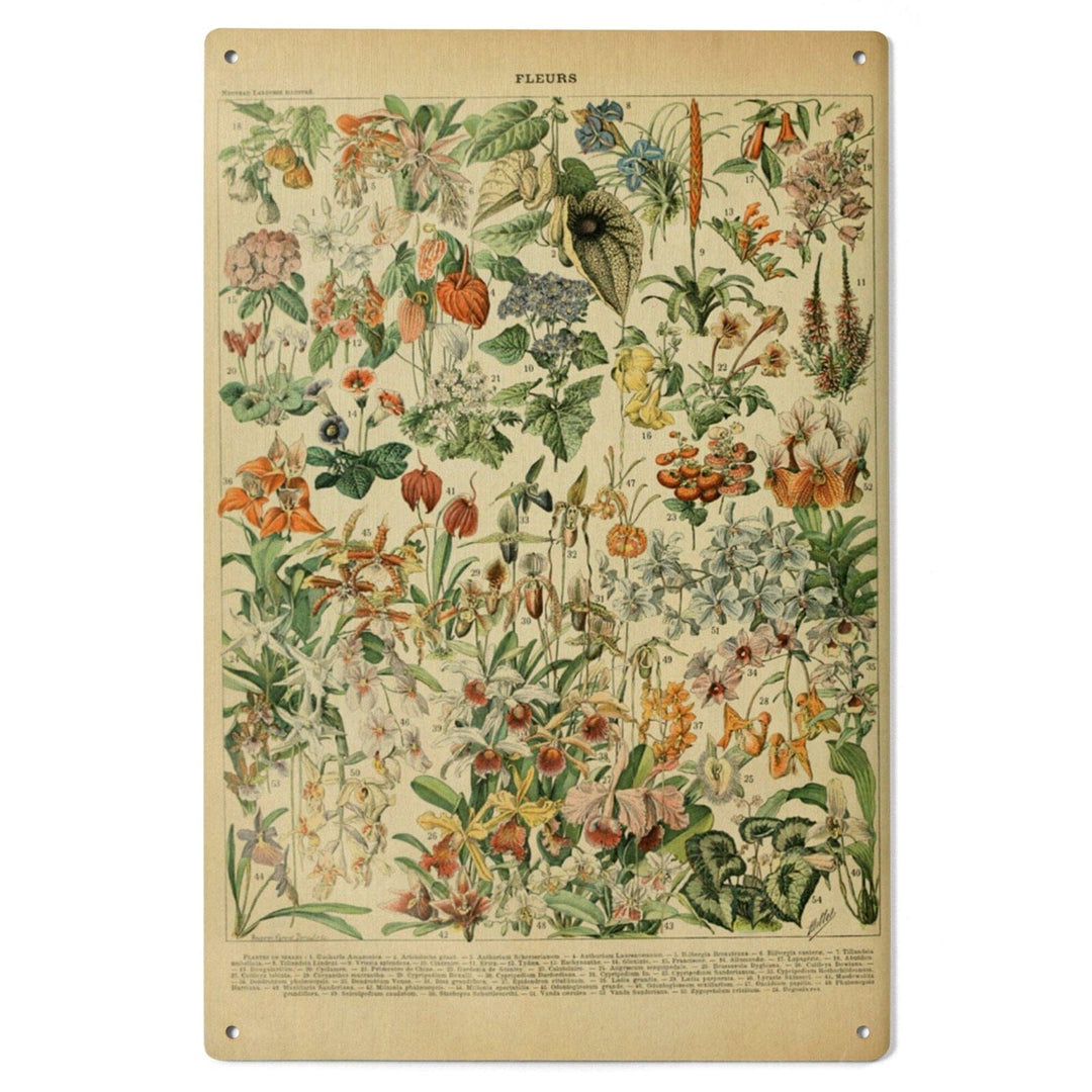 Assorted Flowers, D, Vintage Bookplate, Adolphe Millot Artwork, Wood Signs and Postcards Wood Lantern Press 