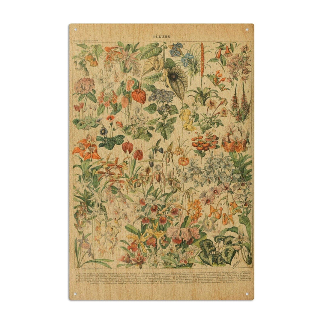 Assorted Flowers, D, Vintage Bookplate, Adolphe Millot Artwork, Wood Signs and Postcards Wood Lantern Press 6x9 Wood Sign 