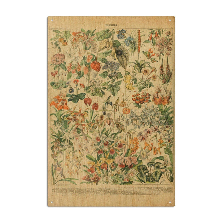 Assorted Flowers, D, Vintage Bookplate, Adolphe Millot Artwork, Wood Signs and Postcards Wood Lantern Press 6x9 Wood Sign 