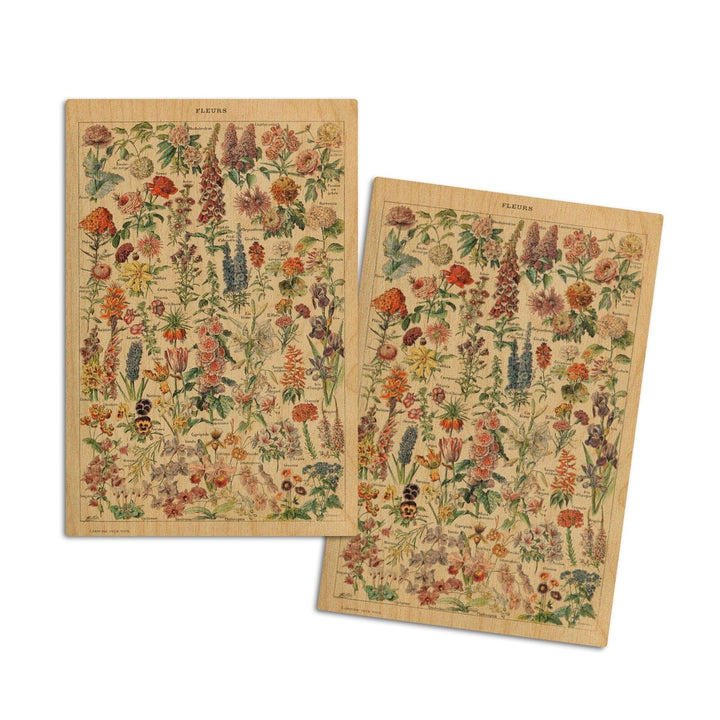 Assorted Flowers, E, Vintage Bookplate, Adolphe Millot Artwork, Wood Signs and Postcards Wood Lantern Press 4x6 Wood Postcard Set 