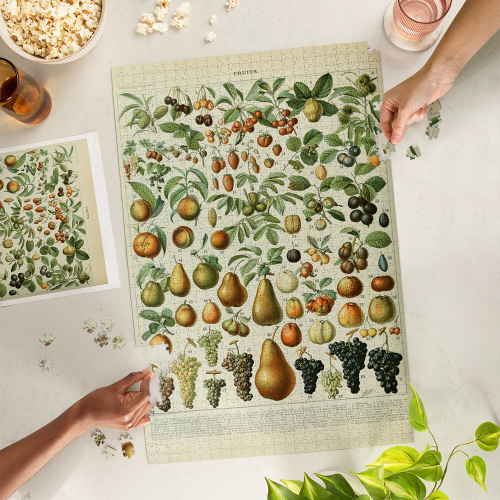 Assorted Fruits, A, Vintage Bookplate, Adolphe Millot Artwork, Jigsaw Puzzle Puzzle Lantern Press 