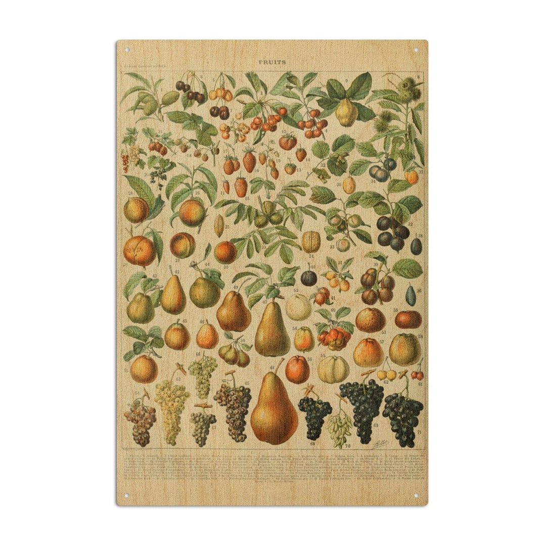 Assorted Fruits, A, Vintage Bookplate, Adolphe Millot Artwork, Wood Signs and Postcards Wood Lantern Press 