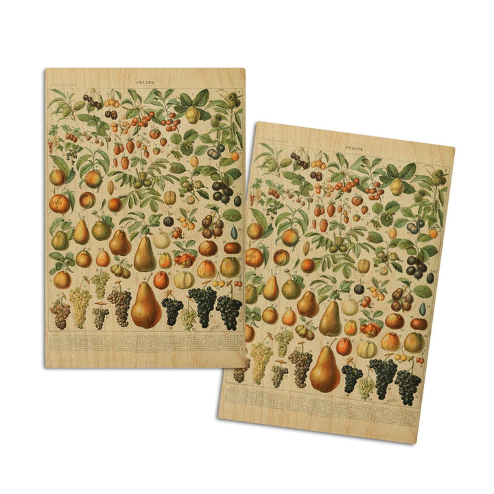Assorted Fruits, A, Vintage Bookplate, Adolphe Millot Artwork, Wood Signs and Postcards Wood Lantern Press 4x6 Wood Postcard Set 