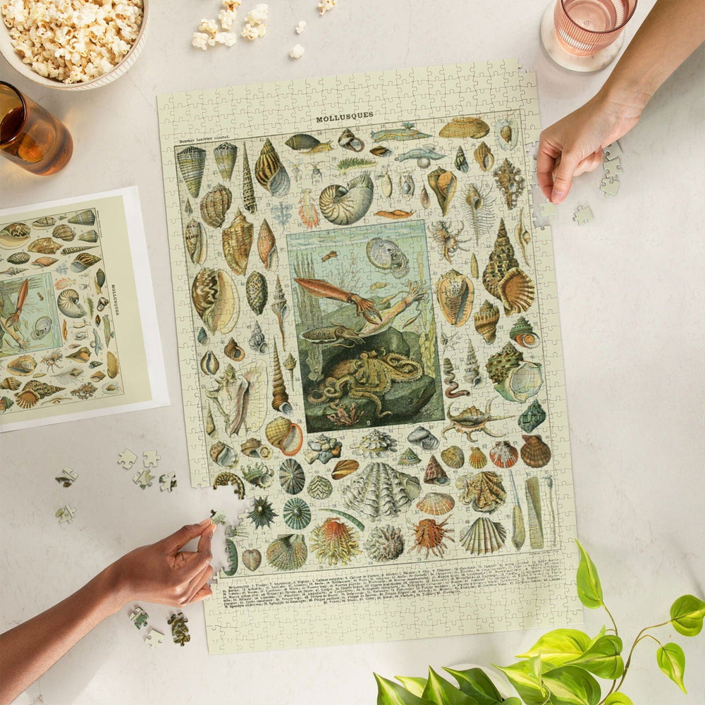 Assorted Shells, A, Vintage Bookplate, Adolphe Millot Artwork, Jigsaw Puzzle Puzzle Lantern Press 