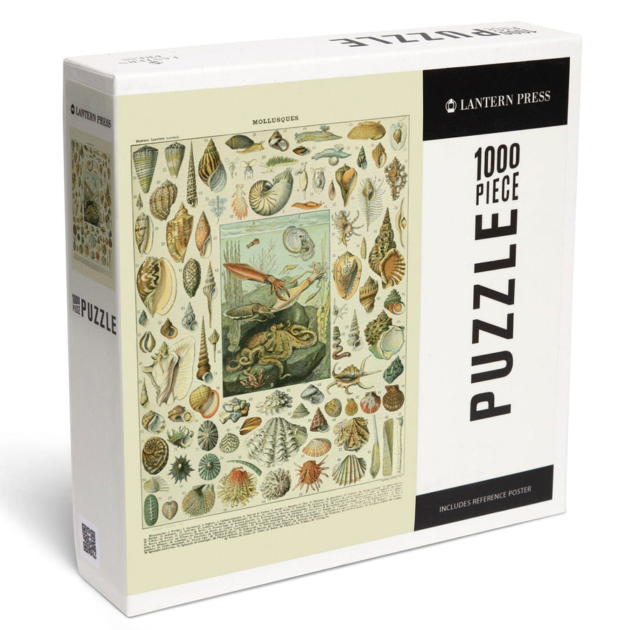Assorted Shells, A, Vintage Bookplate, Adolphe Millot Artwork, Jigsaw Puzzle Puzzle Lantern Press 