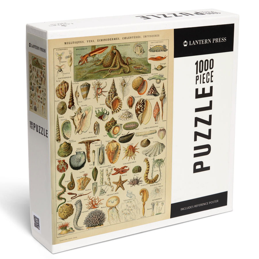 Assorted Shells, B, Vintage Bookplate, Adolphe Millot Artwork, Jigsaw Puzzle Puzzle Lantern Press 