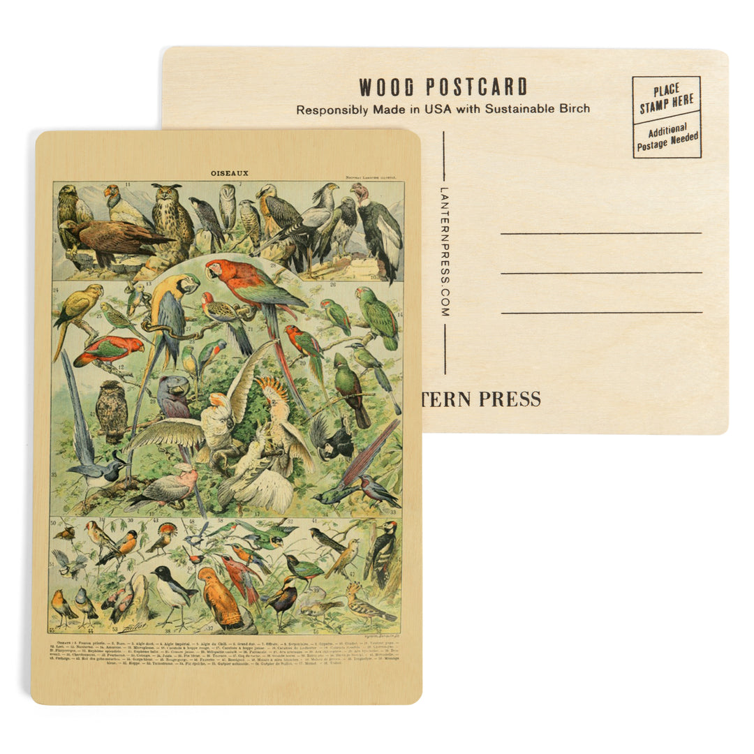 Birds, A, Vintage Bookplate, Adolphe Millot, Wood Sign and Postcards