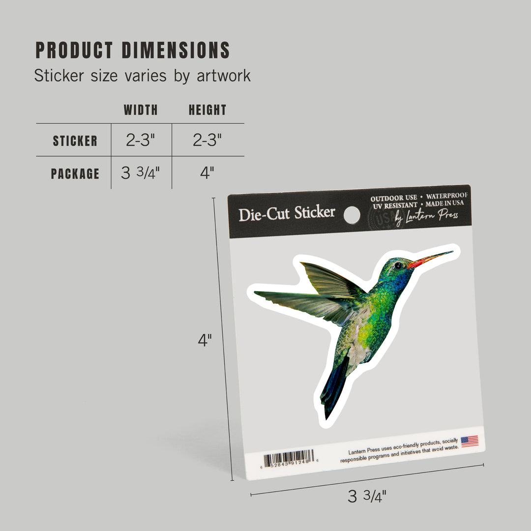 Broadbill Hummingbird, Contour, Photography (James T. Jones), Vinyl Sticker