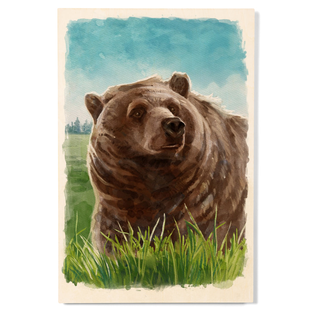 Watercolor Study, Grizzly Bear, Wood Signs and Postcards
