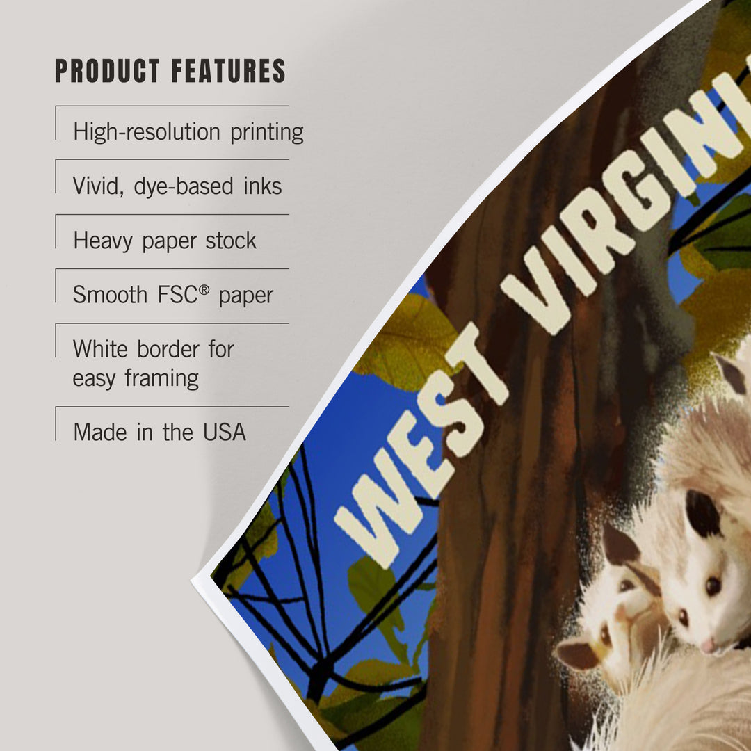 West Virginia, Possum with Babies, Art & Giclee Prints