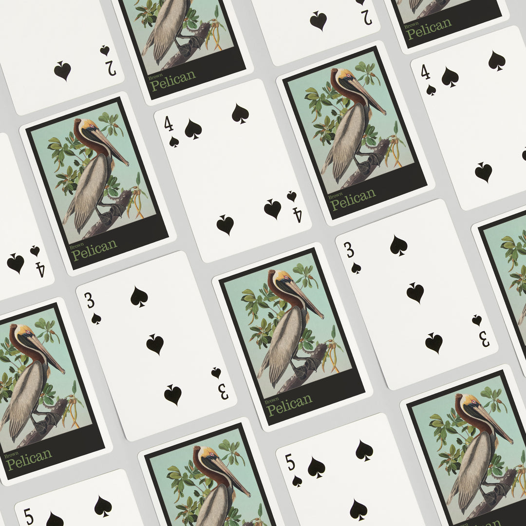 Playing Cards, Audubon Birds, North America Brown Pelican, 52 Card Deck with Jokers in Box, Unique Art