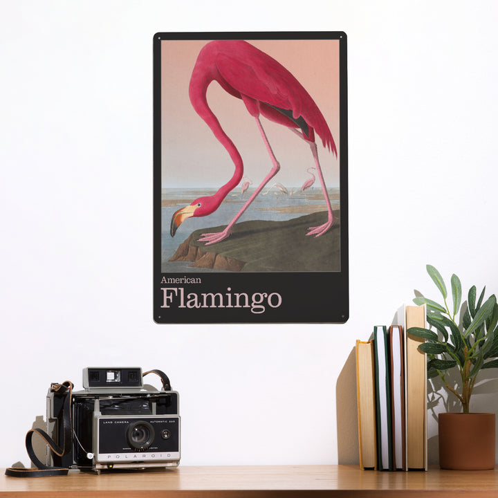 Audubon Birds of North America, Flamingo, 12x18 Metal Sign