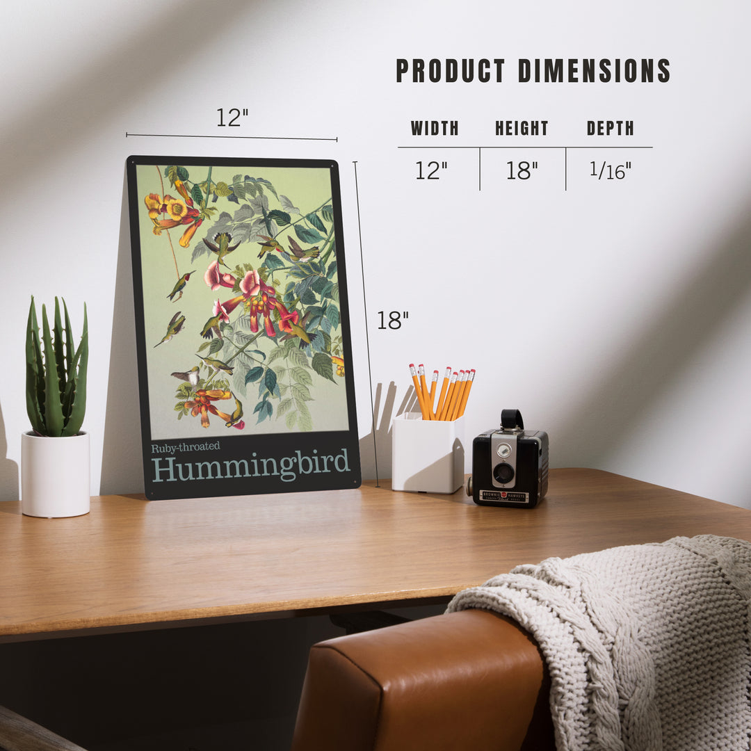 Audubon Birds, North America Hummingbird, 12x18 Metal Sign