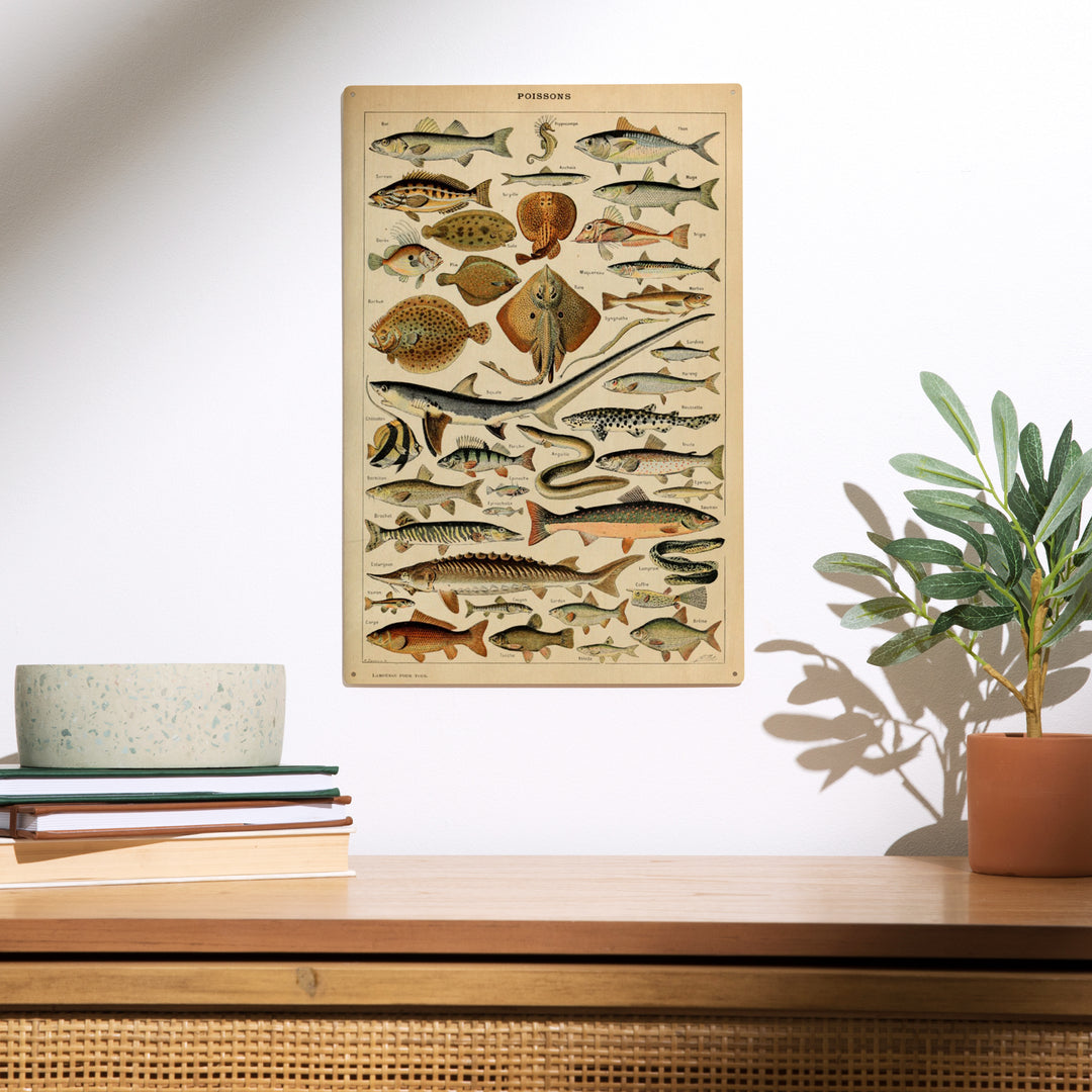 Fish, C, Vintage Bookplate, Adolphe Millot Artwork, Wood Sign and Postcards