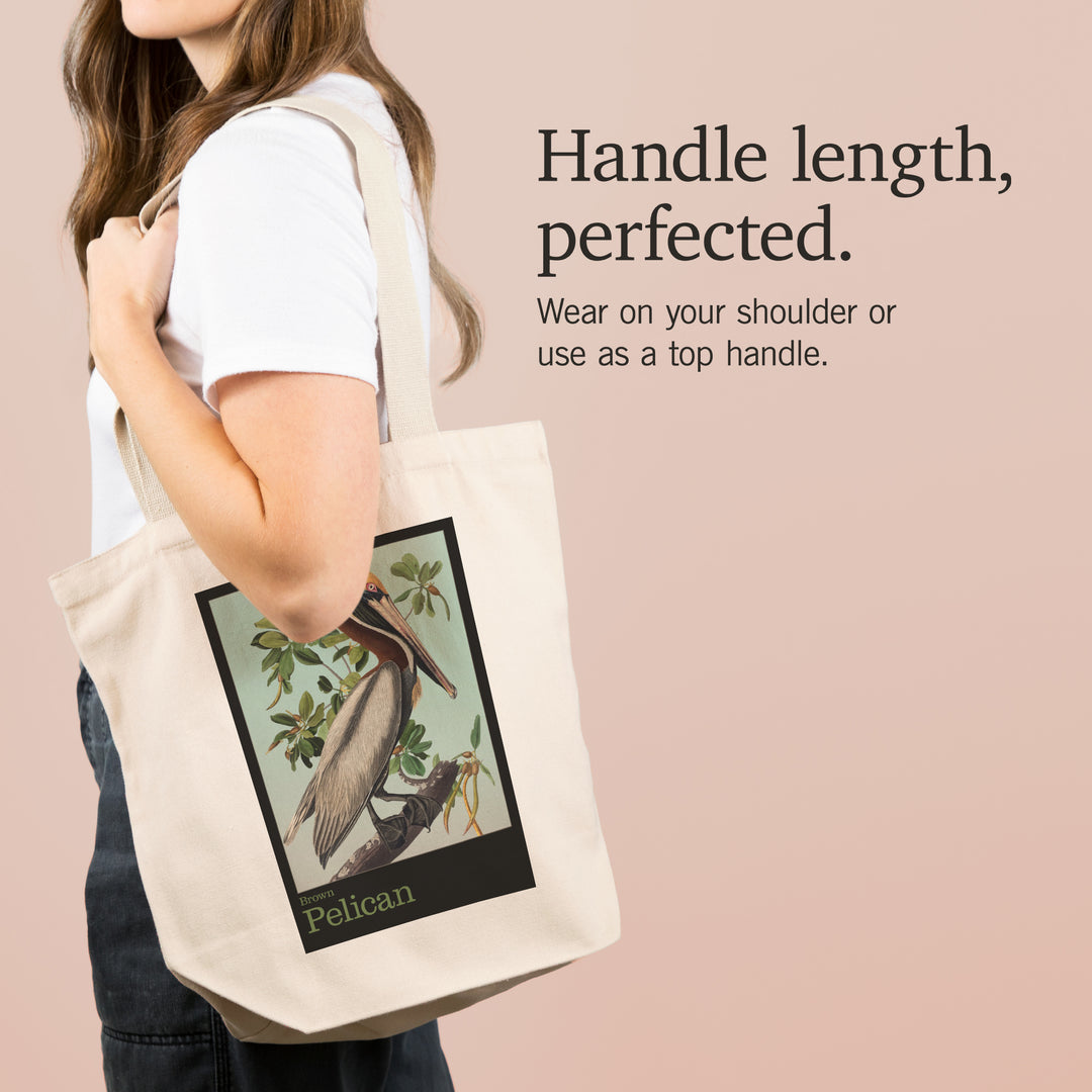 Audubon Birds, North America Brown Pelican, Tote Bag