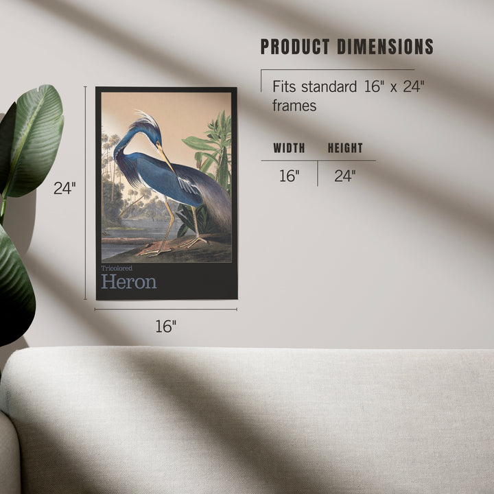 Audubon Birds of North America, Heron, Art & Giclee Prints