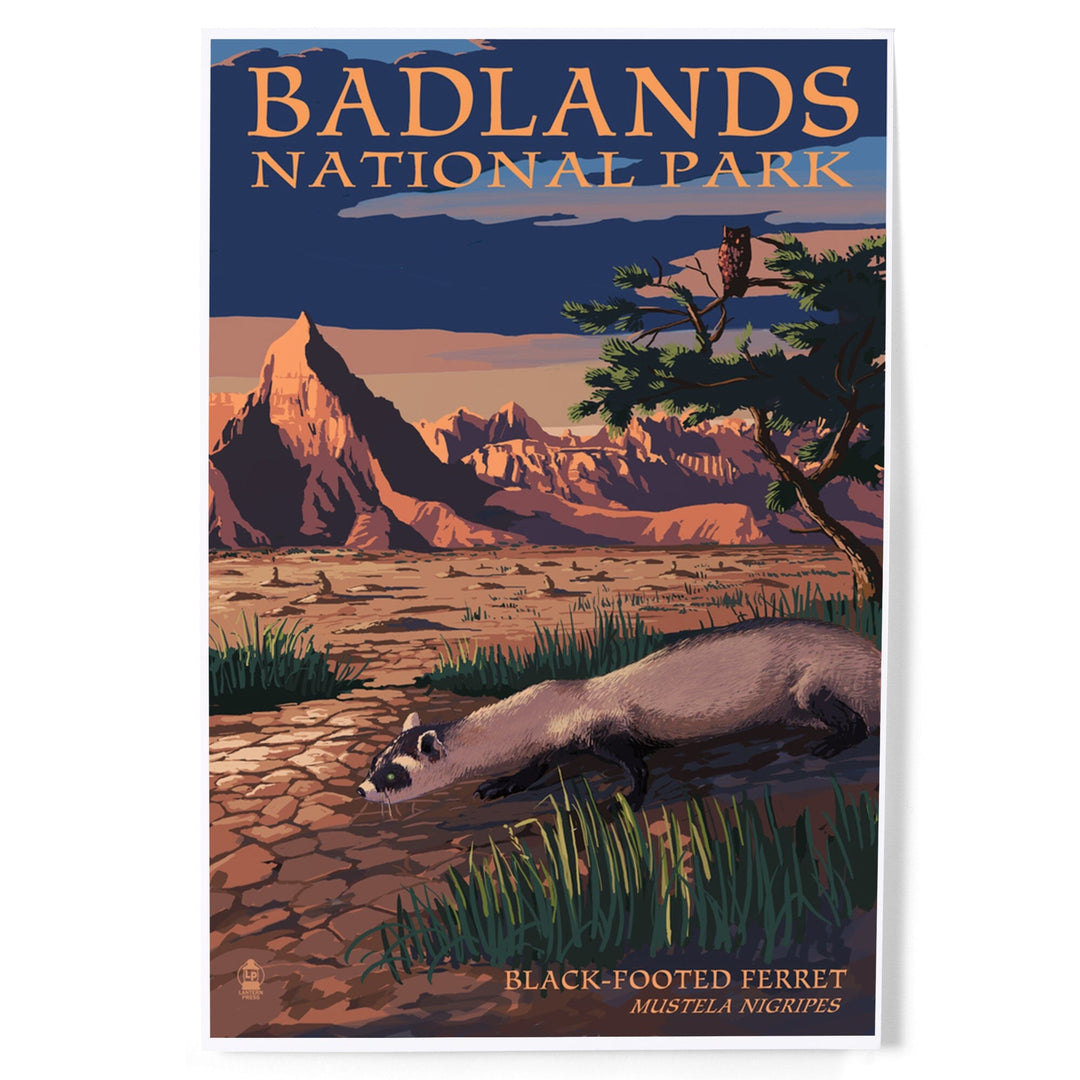 Badlands National Park, South Dakota, Ferret at Night, Art & Giclee Prints Art Lantern Press 