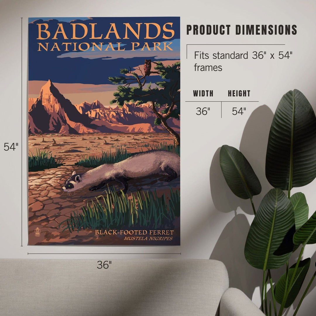 Badlands National Park, South Dakota, Ferret at Night, Art & Giclee Prints Art Lantern Press 