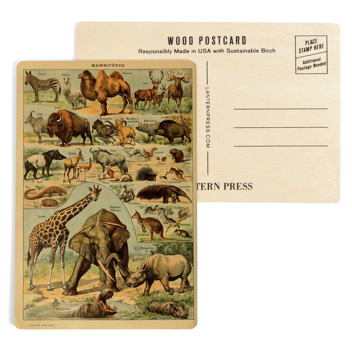 Mammals, B, Vintage Bookplate, Adolphe Millot, Wood Sign and Postcards