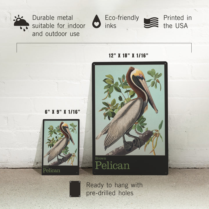 Audubon Birds, North America Brown Pelican, 12x18 Metal Sign