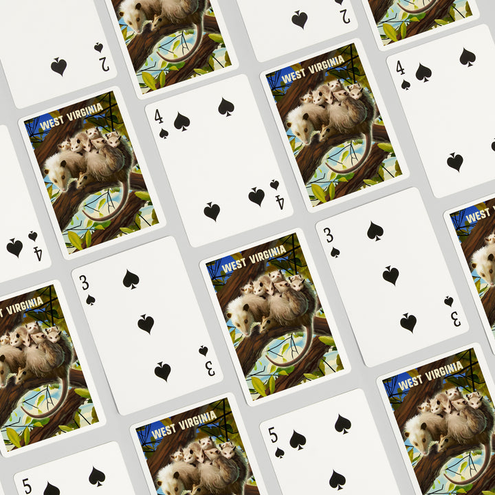 Playing Cards, West Virginia, Possum with Babies, 52 Card Deck with Jokers in Box, Unique Art