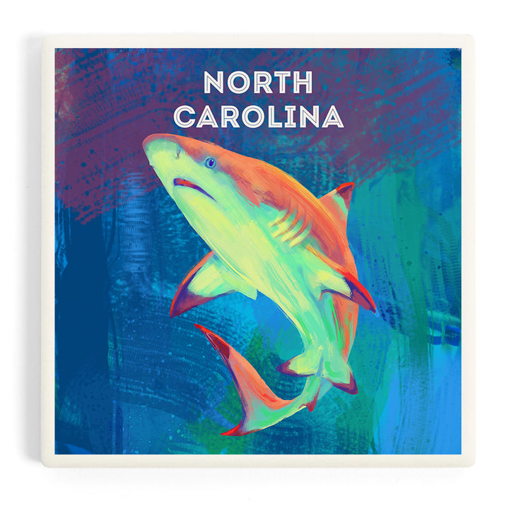 North Carolina, Vivid, Blacktip Shark, Coasters