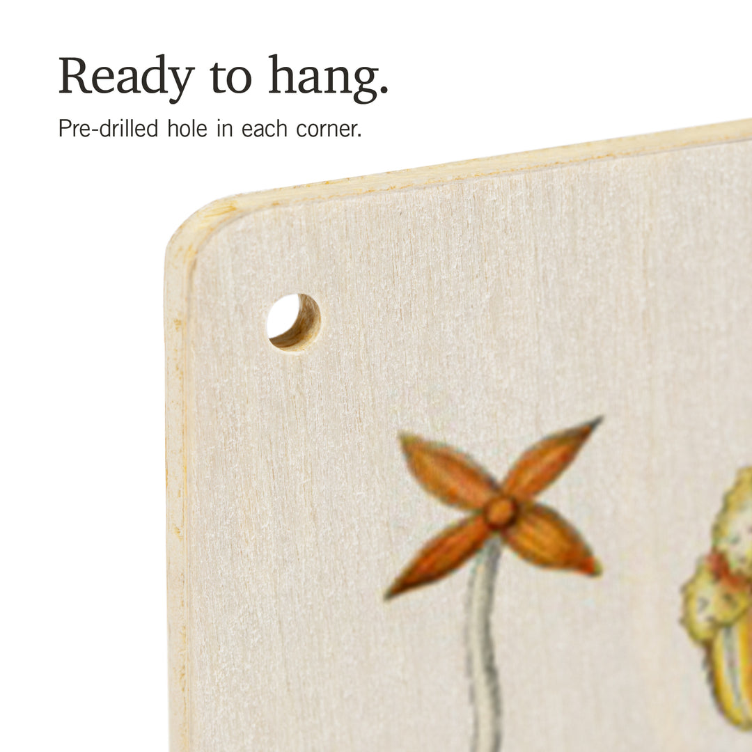 Art Forms of Nature, Hepaticae (Flowers), Ernst, Wood Sign and Postcards
