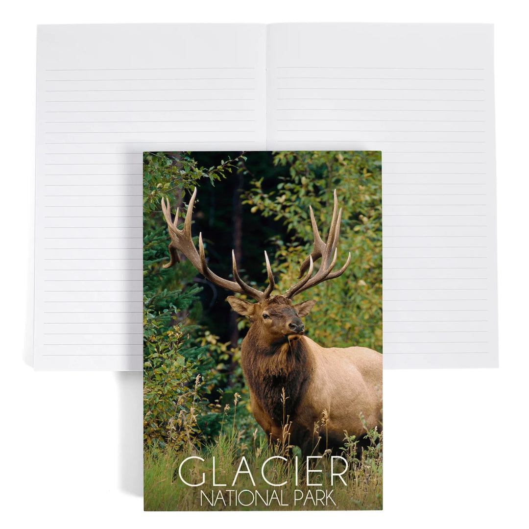 Lined 6x9 Journal, Glacier National Park, Elk Bull, Lay Flat, 193 Pages, FSC paper